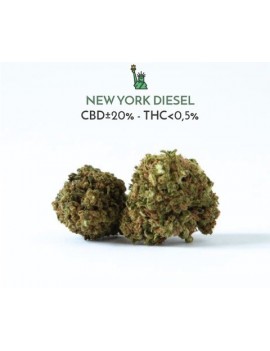 New York Diesel