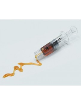 WAX CBD 66% Syringe 0.5g - Plant of Life