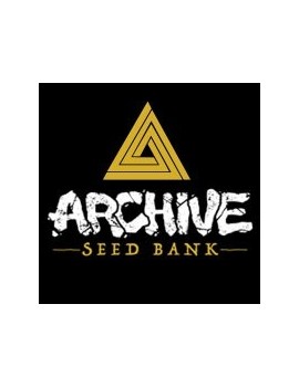 Ginger Tea - Archive Seedbank
