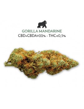 Gorilla Mandarin