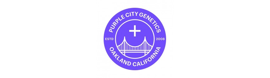 PurpleGenetics