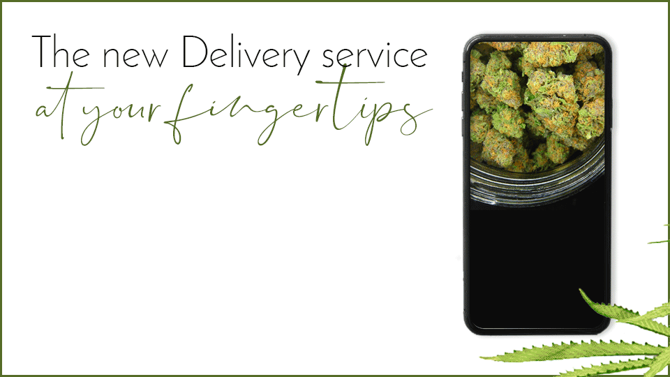 delivery-milano-cannabis-light